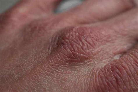 Ejakulacija po telesu (COB) Erotična masaža Bomi